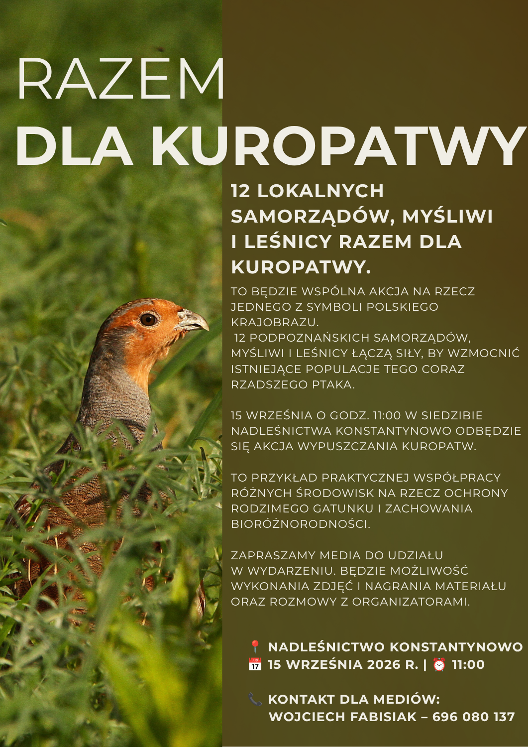 kuropatwa plakat